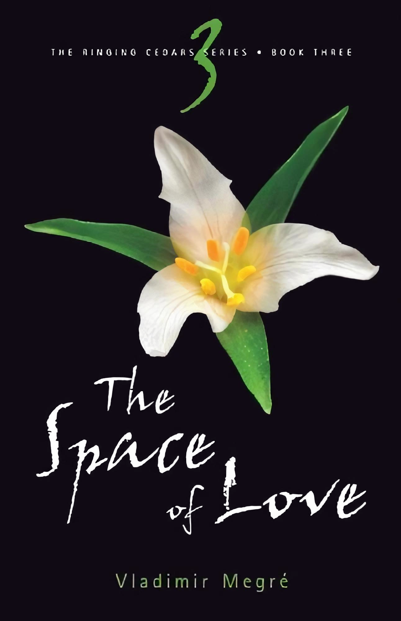 Book 3 - "The Space of Love" of the Ringing Cedars of Russia series by Vladimir Megre full book cover